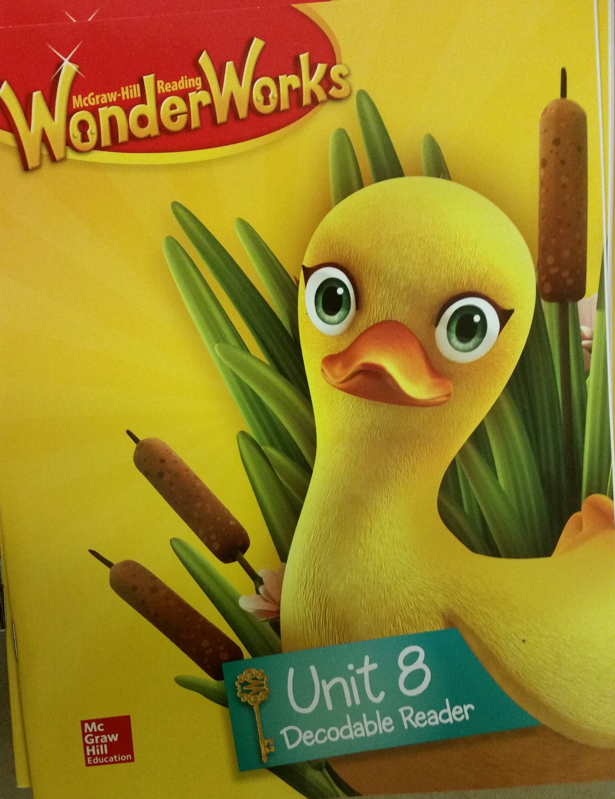 Wonder Works Decodable Reader Grade K Unit 8