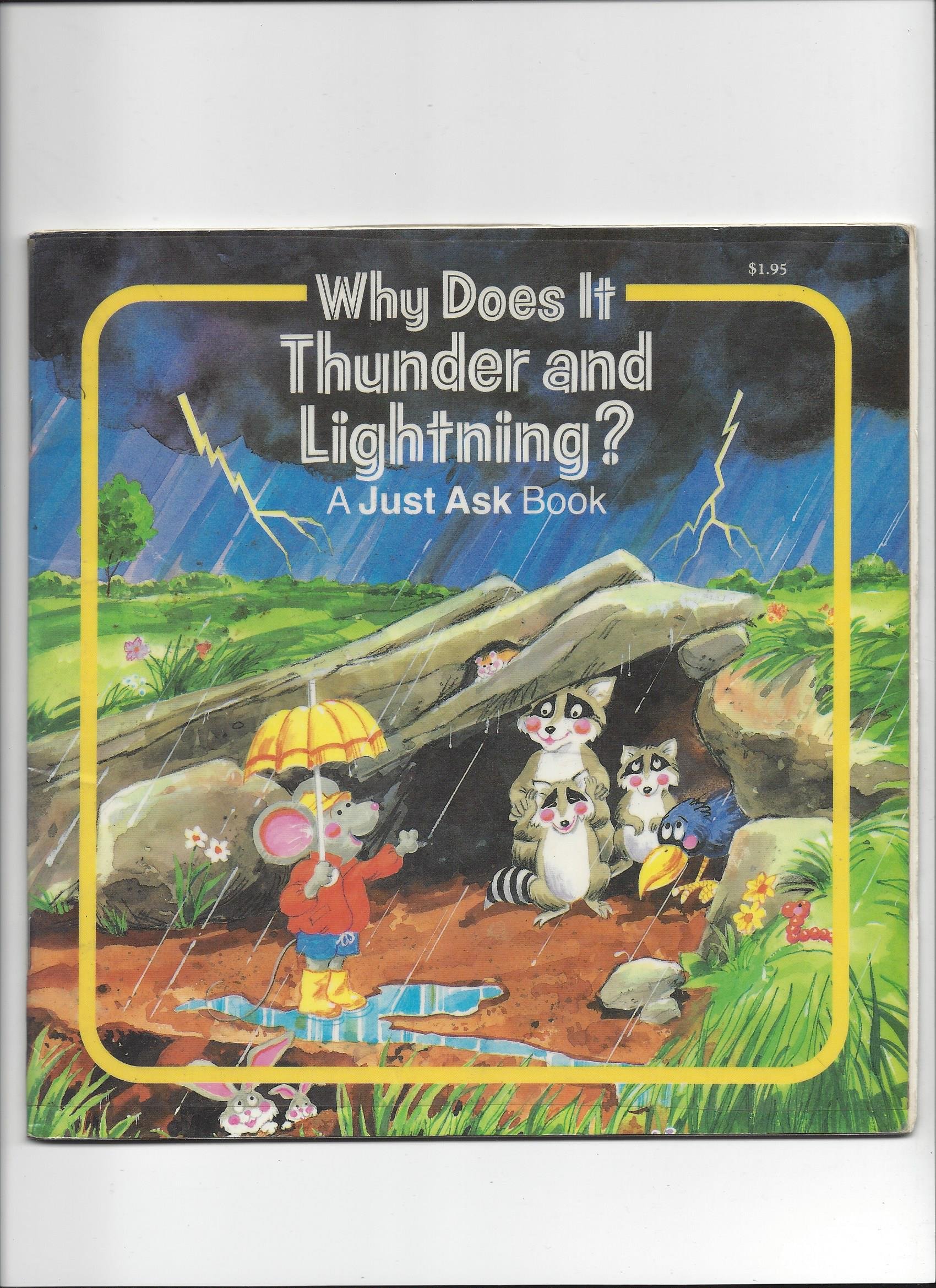 Why Does It Thunder and Lightning? (A Just Ask Book)