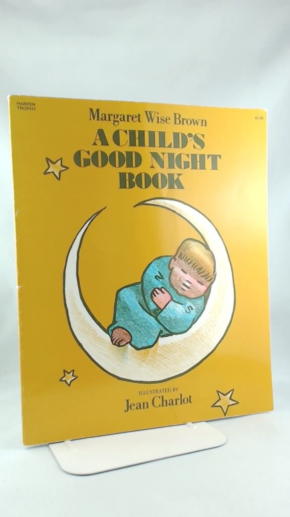 A Child's Good Night Book