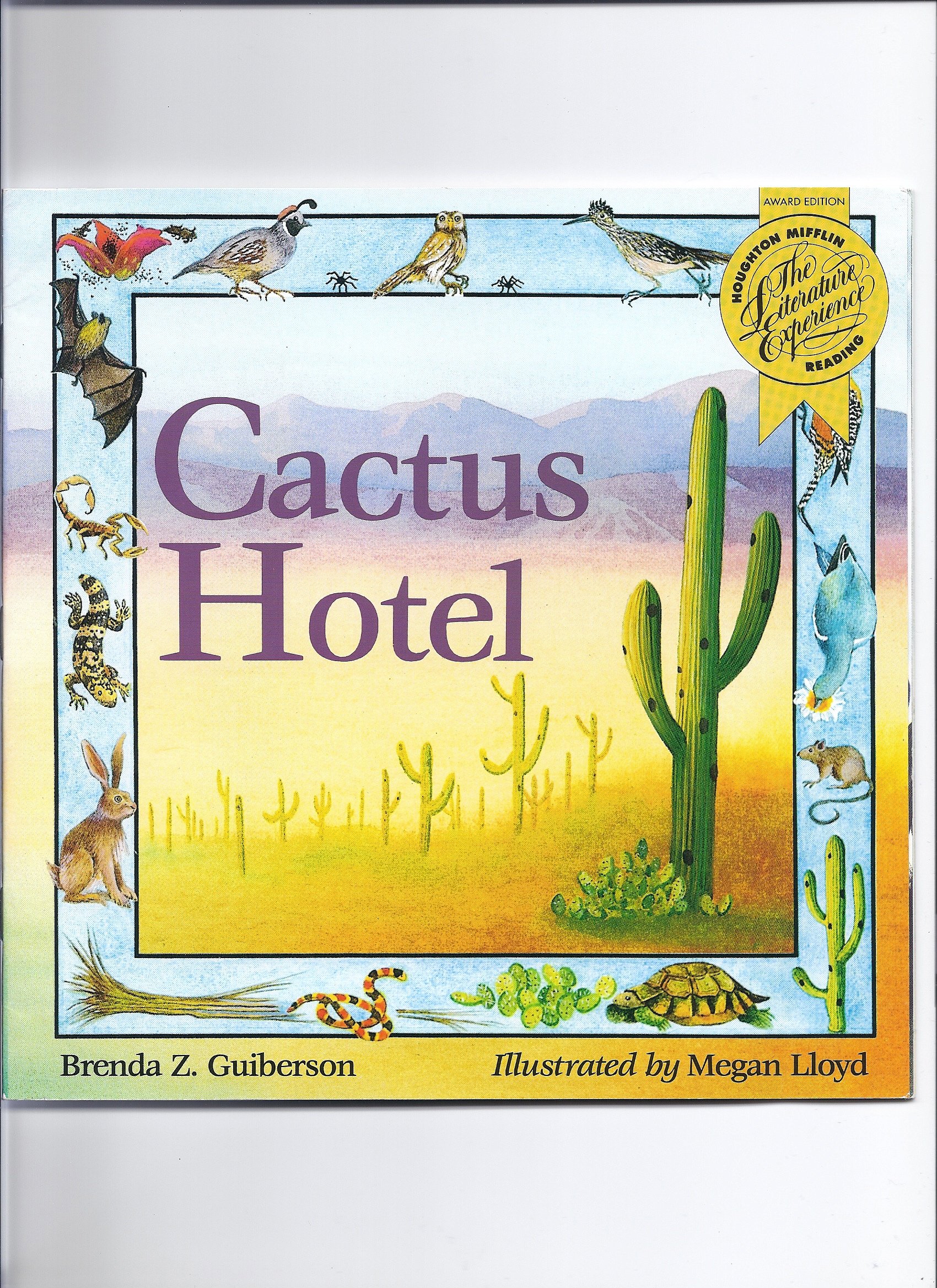 Catcus Hotel