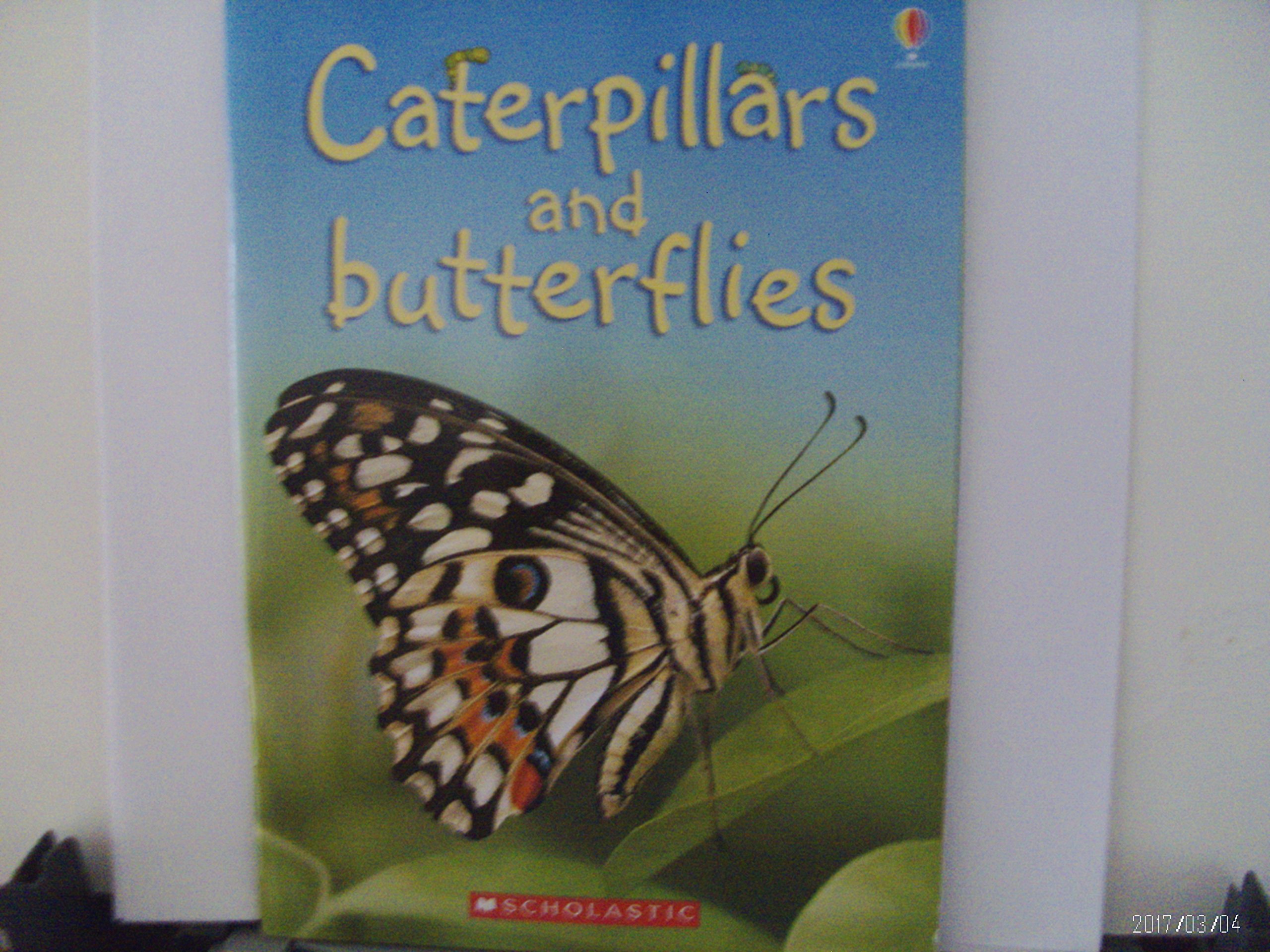 Caterpillars and Butterflies (Beginners Nature, Level 1)