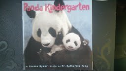Panda Kindergarten
