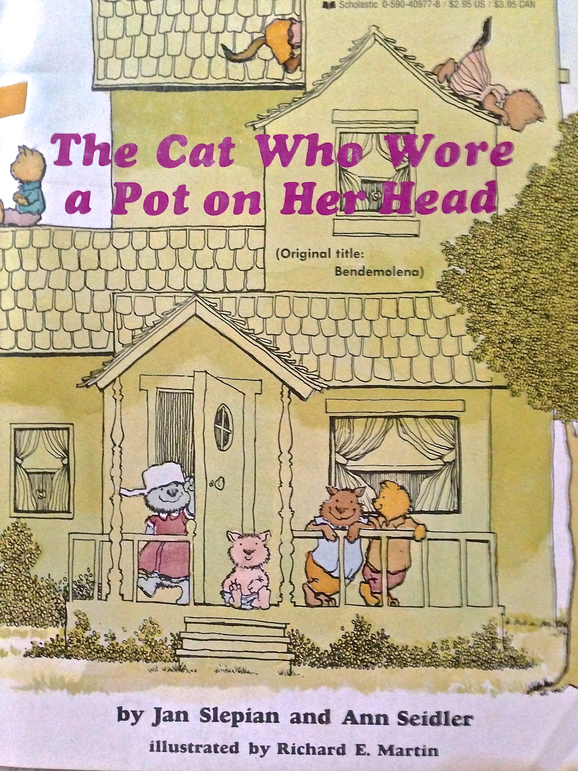 The Cat Who Wore a Pot on Her Head