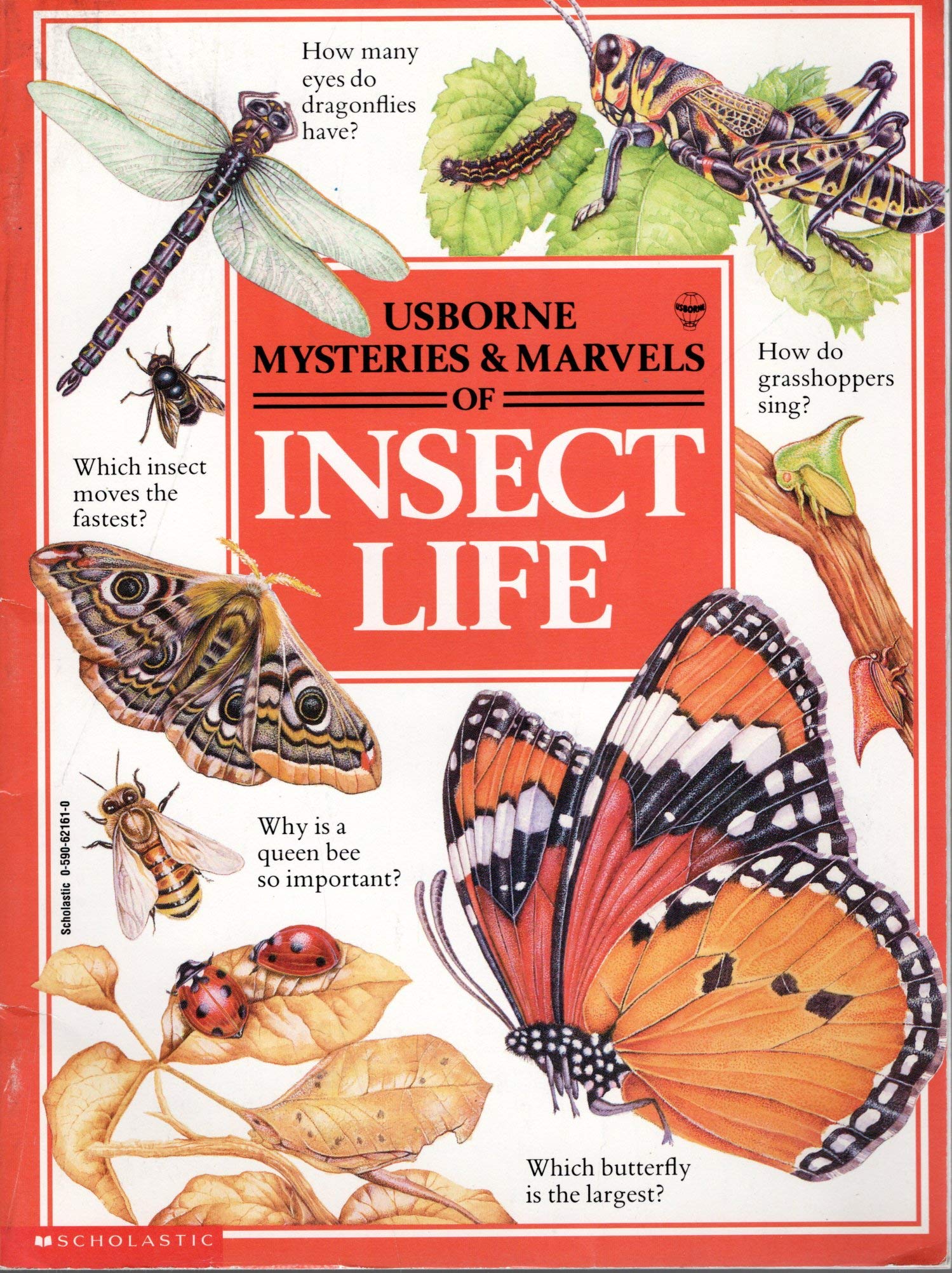 Mysteries & Marvels of Insect Life (Usborne)