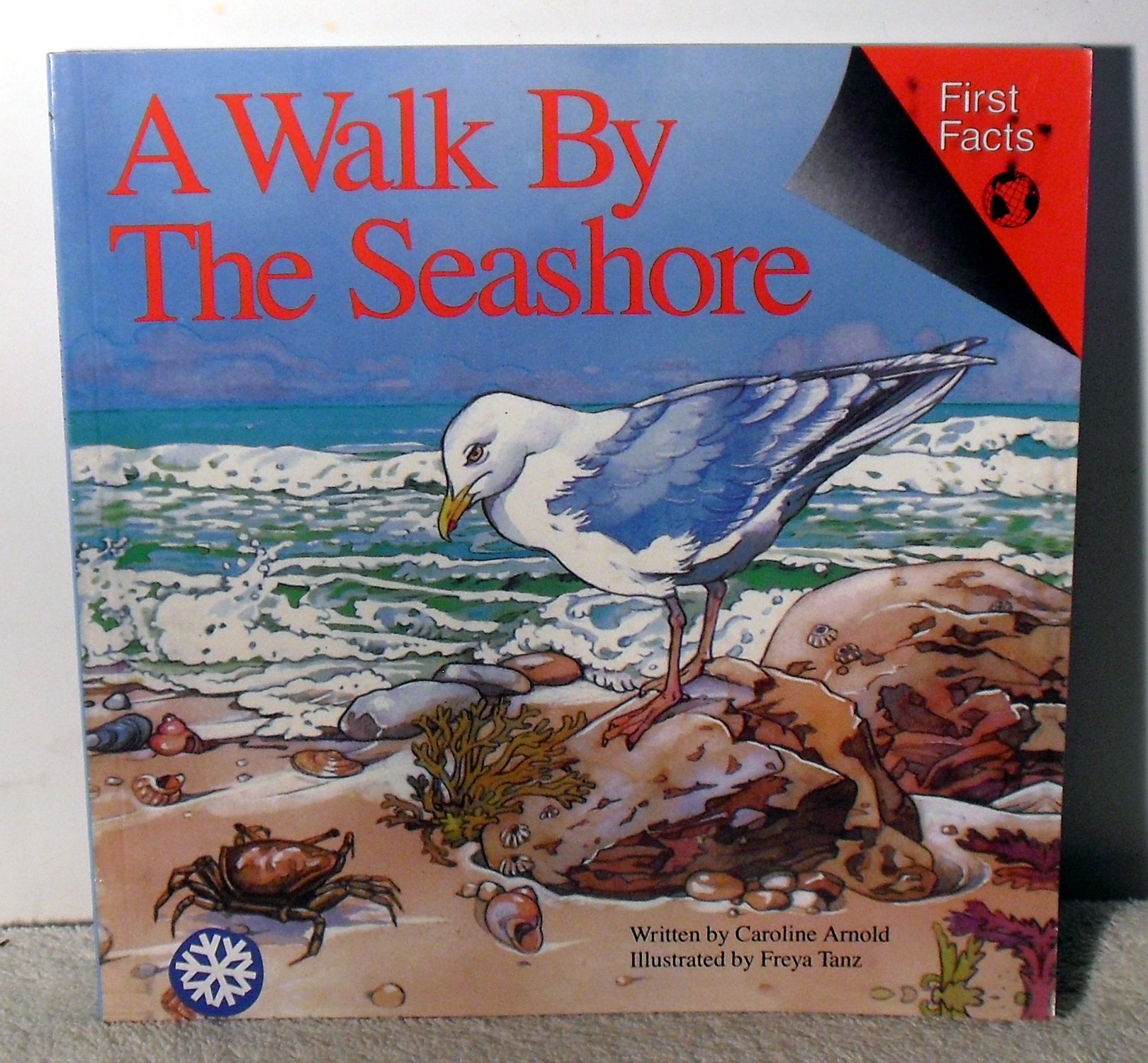 A Walk by the Seashore (First Facts: Everyday Character Education)