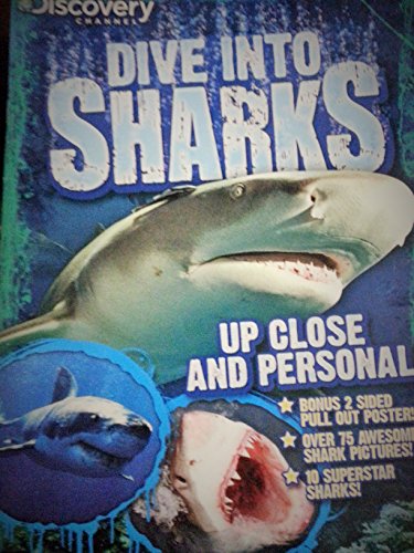 Dive Into Sharks
