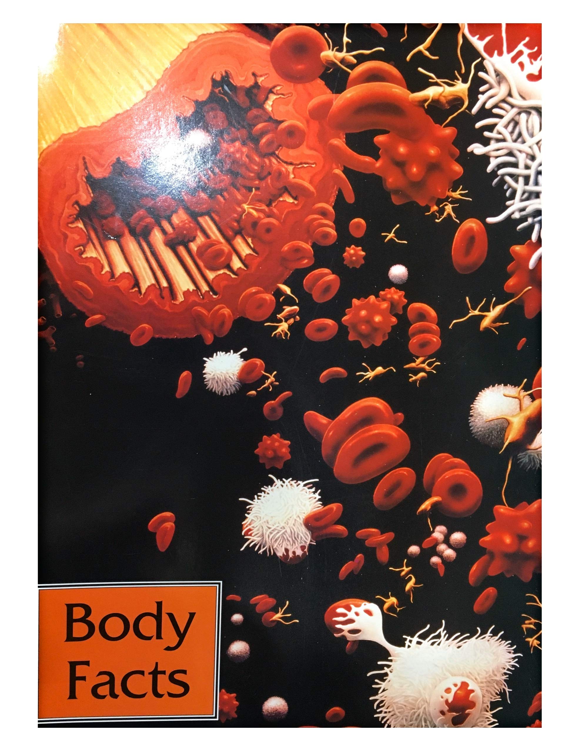 Body Facts (Informazing)