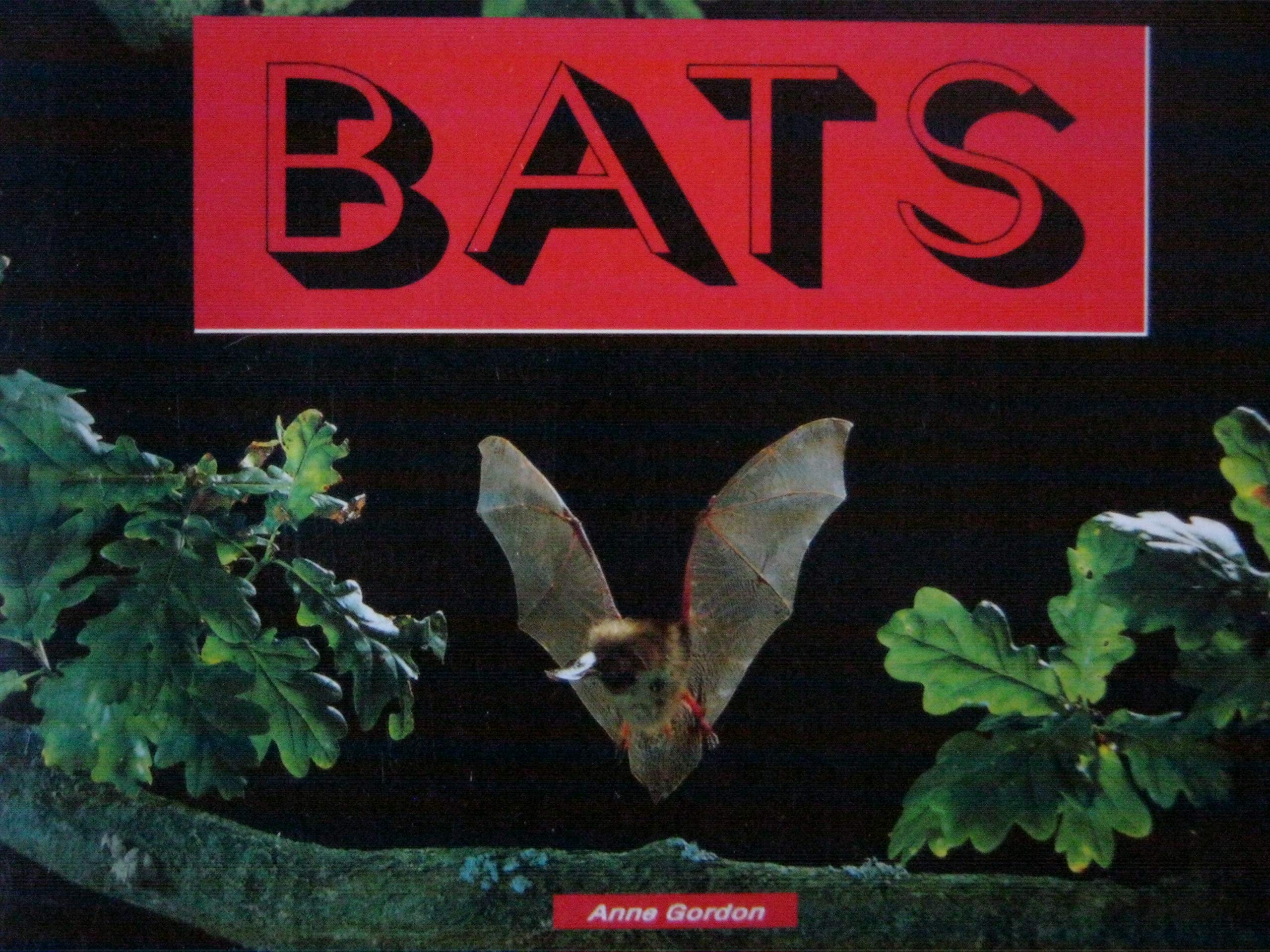 LT 3-A Gdr Bats Is (PM Nonfiction Gold Level/What Courage!)