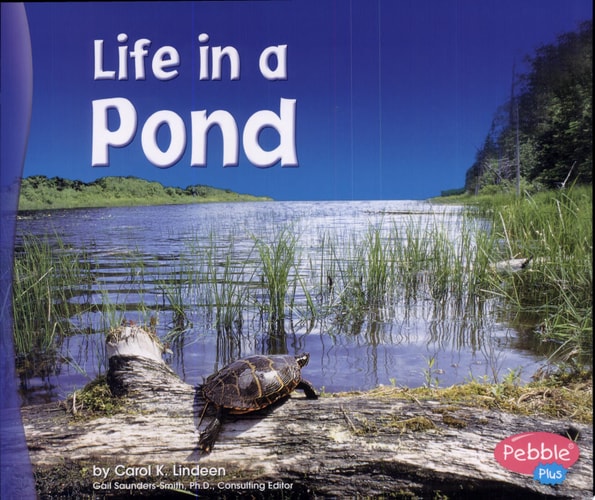 Life in a Pond