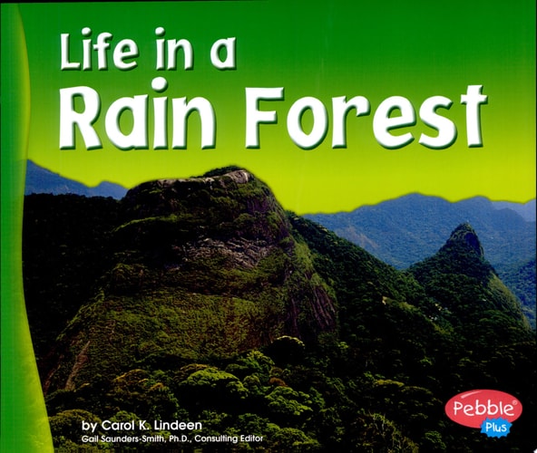 Life in a Rain Forest