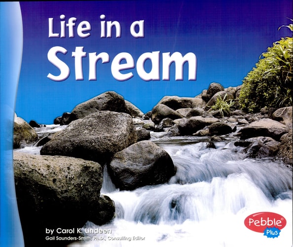 Life in a Stream