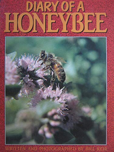 Stg 5b Diary of a Honeybee Is (Literacy 2000)