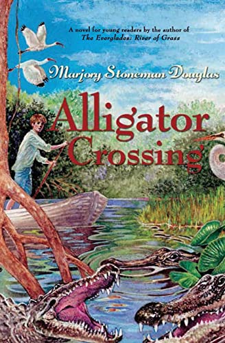 Alligator Crossing