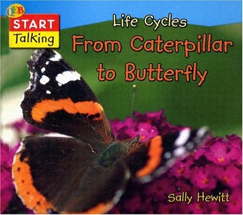 From Caterpillar to Butterfly (QEB Start Talking)