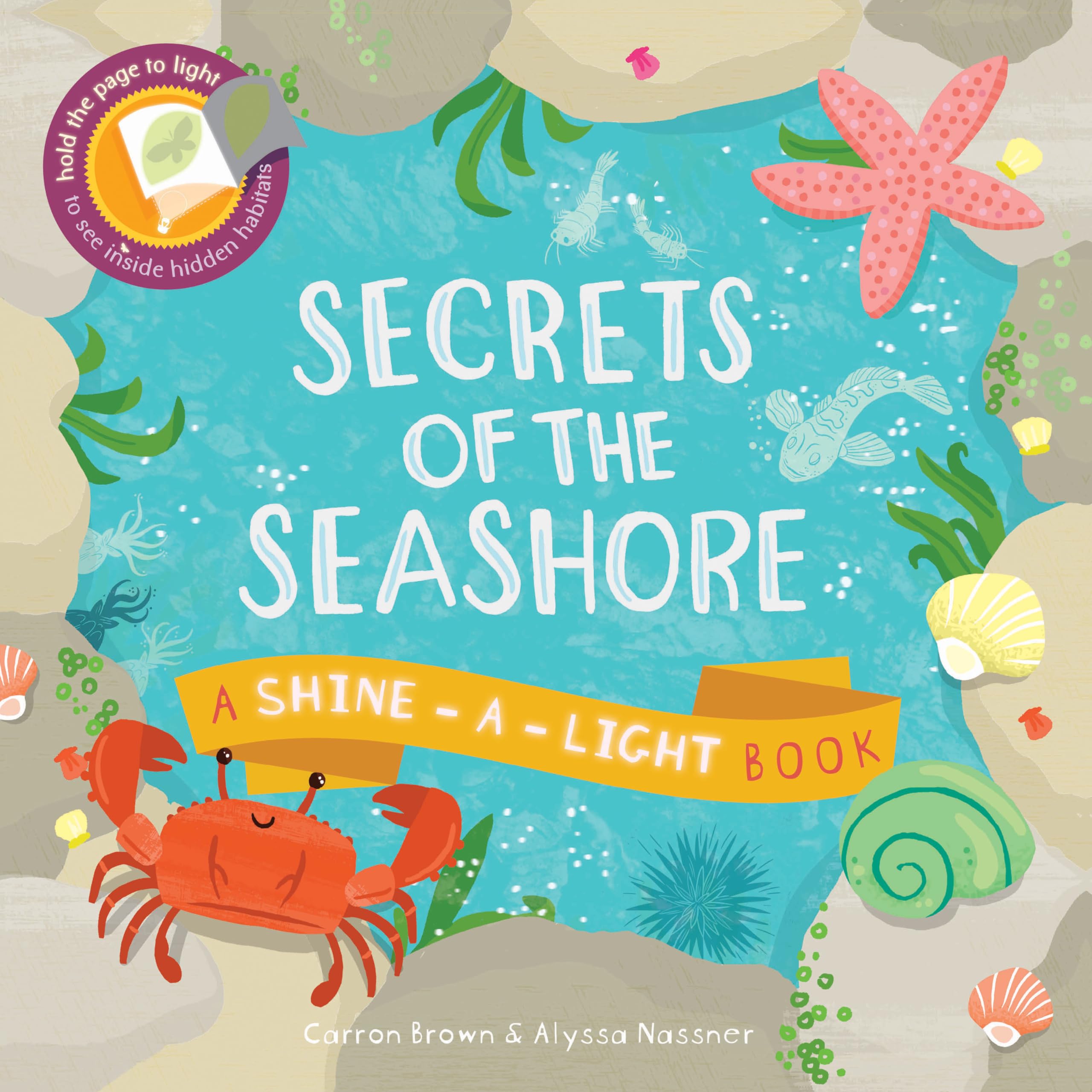 Secrets of the Seashore (Shine-A-Light Book)