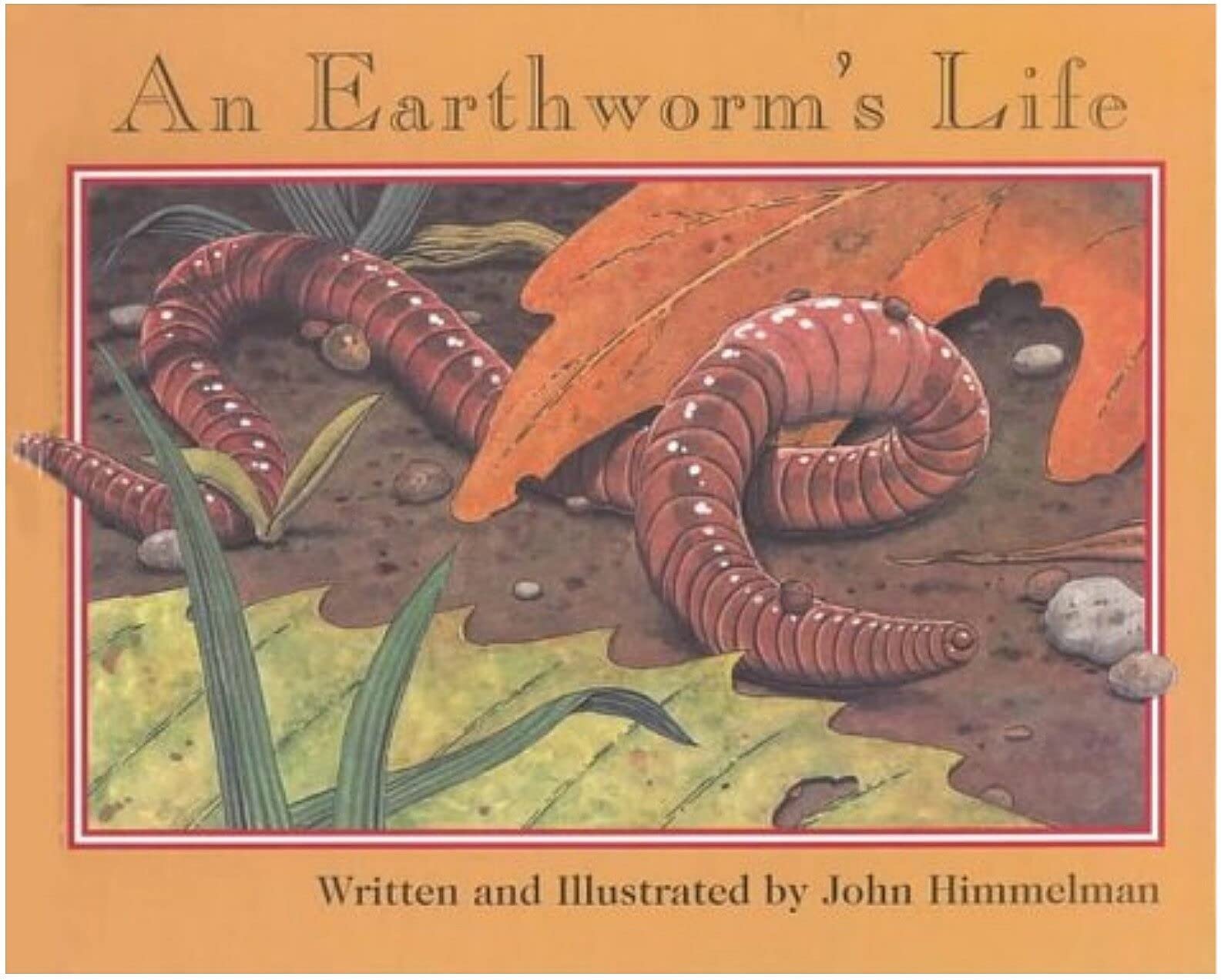 An Earthworm's Life (Nature Upclose)