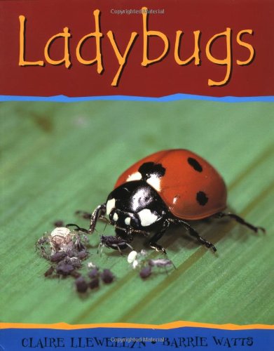 Ladybugs (Minibeasts)