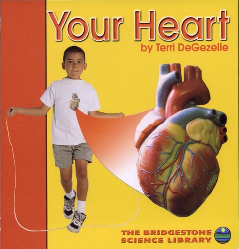 Your Heart