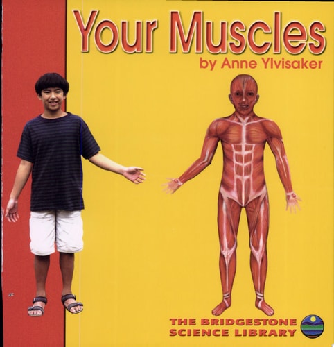 Your Muscles