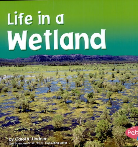 Life in a Wetland