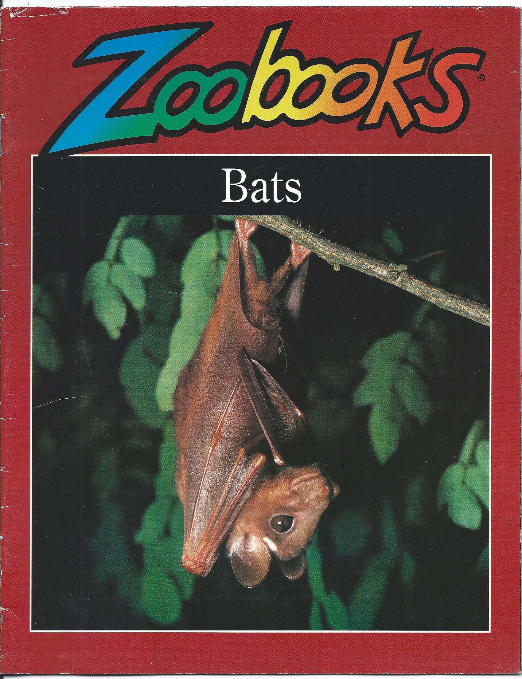 Bats (Zoobooks Series)
