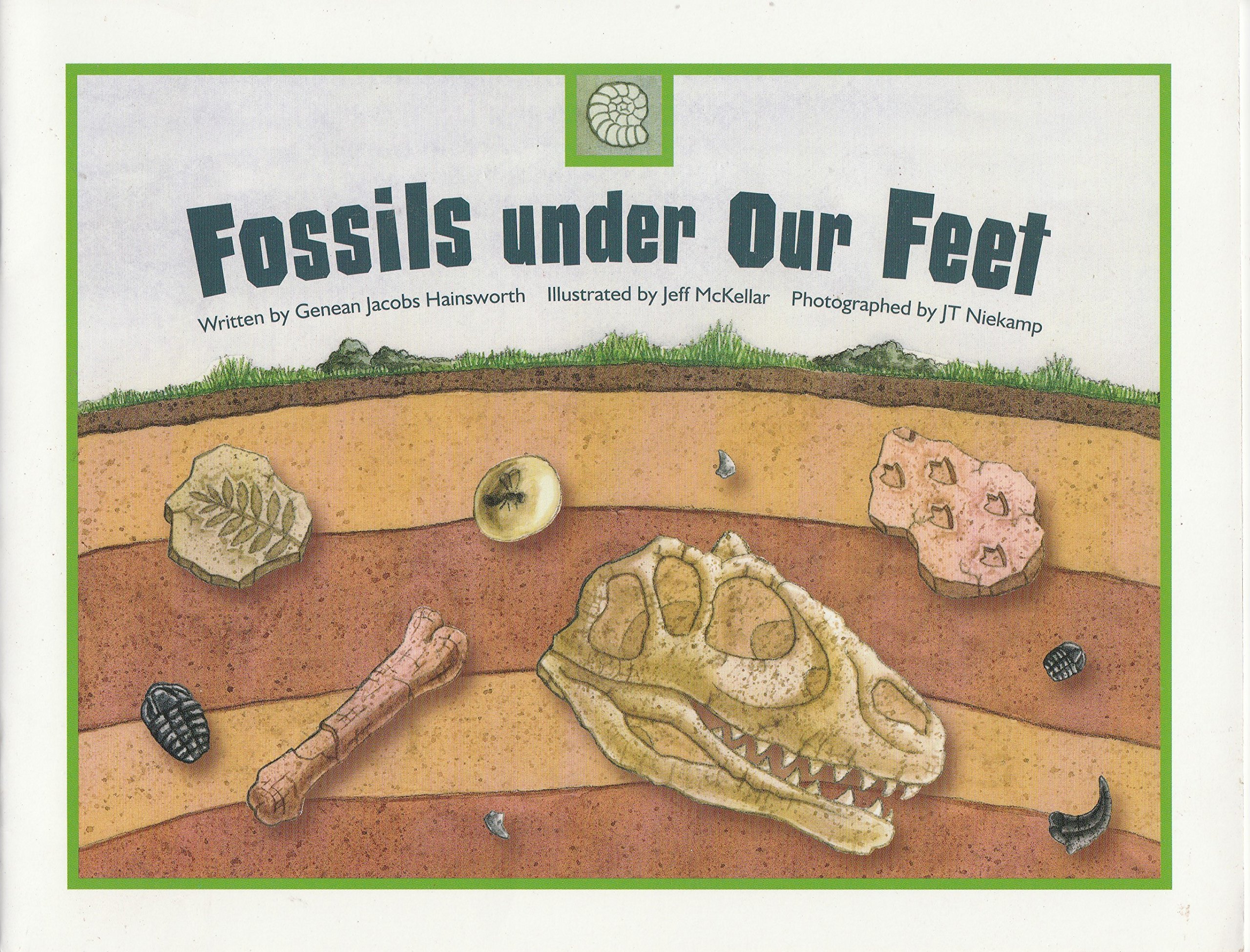 Fossils Under Our Feet
