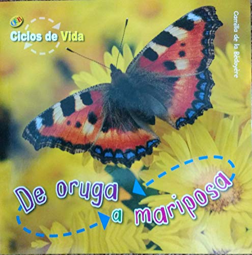 De oruga a mariposa