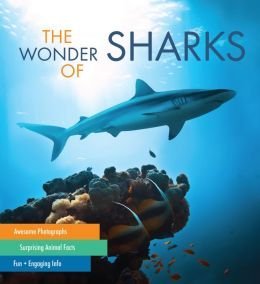 The Wonder of Sharks