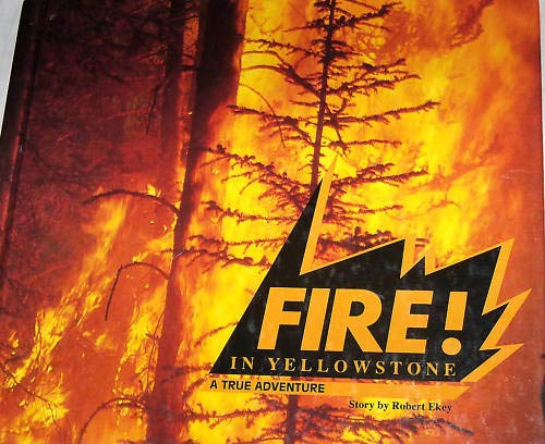 Houghton Mifflin Soar to Success: Fire! Yellowstone Lv 5 FIRE! YELLOWSTONE