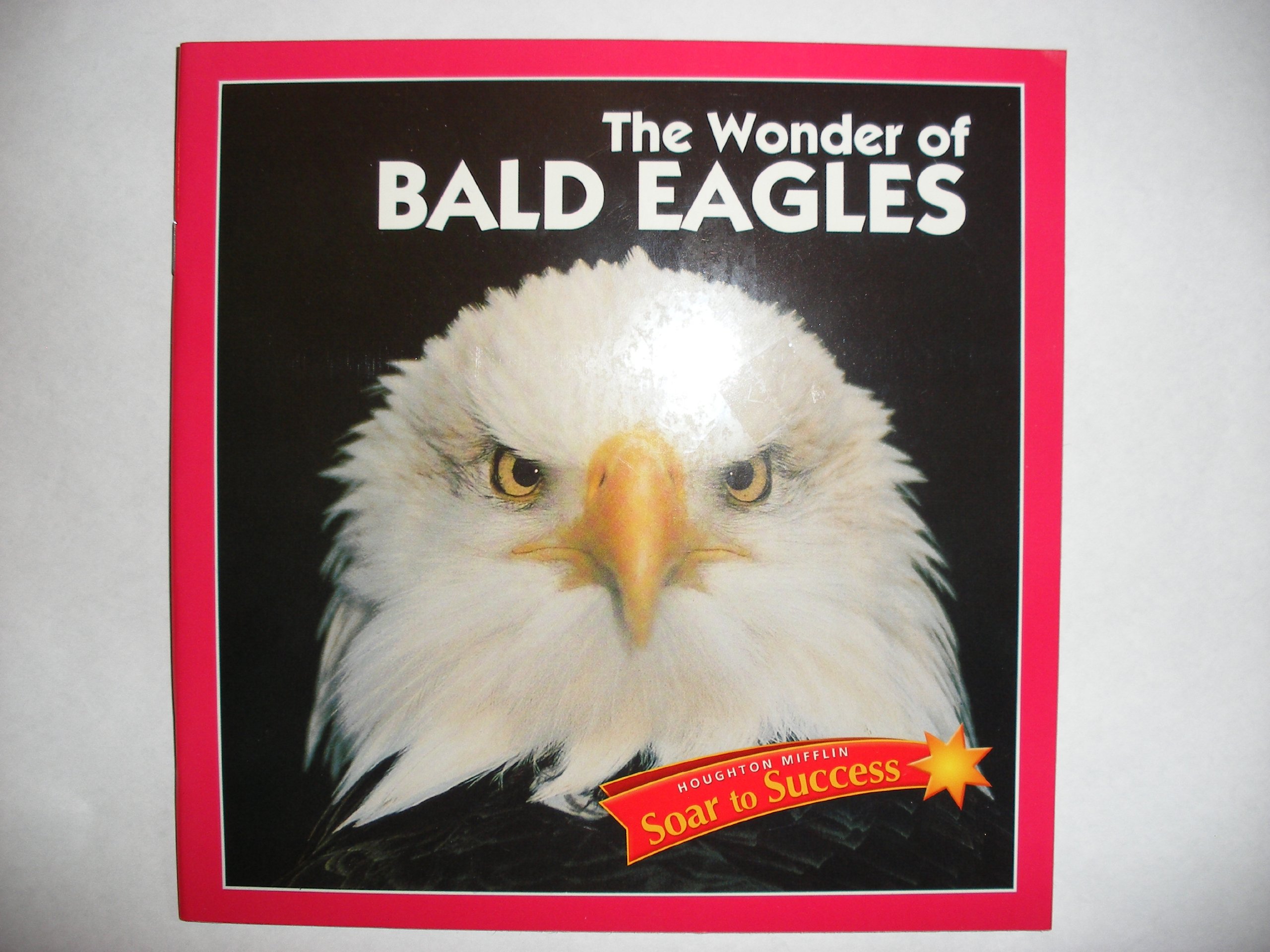 The Wonder of Bald Eagles (Soar to Success)