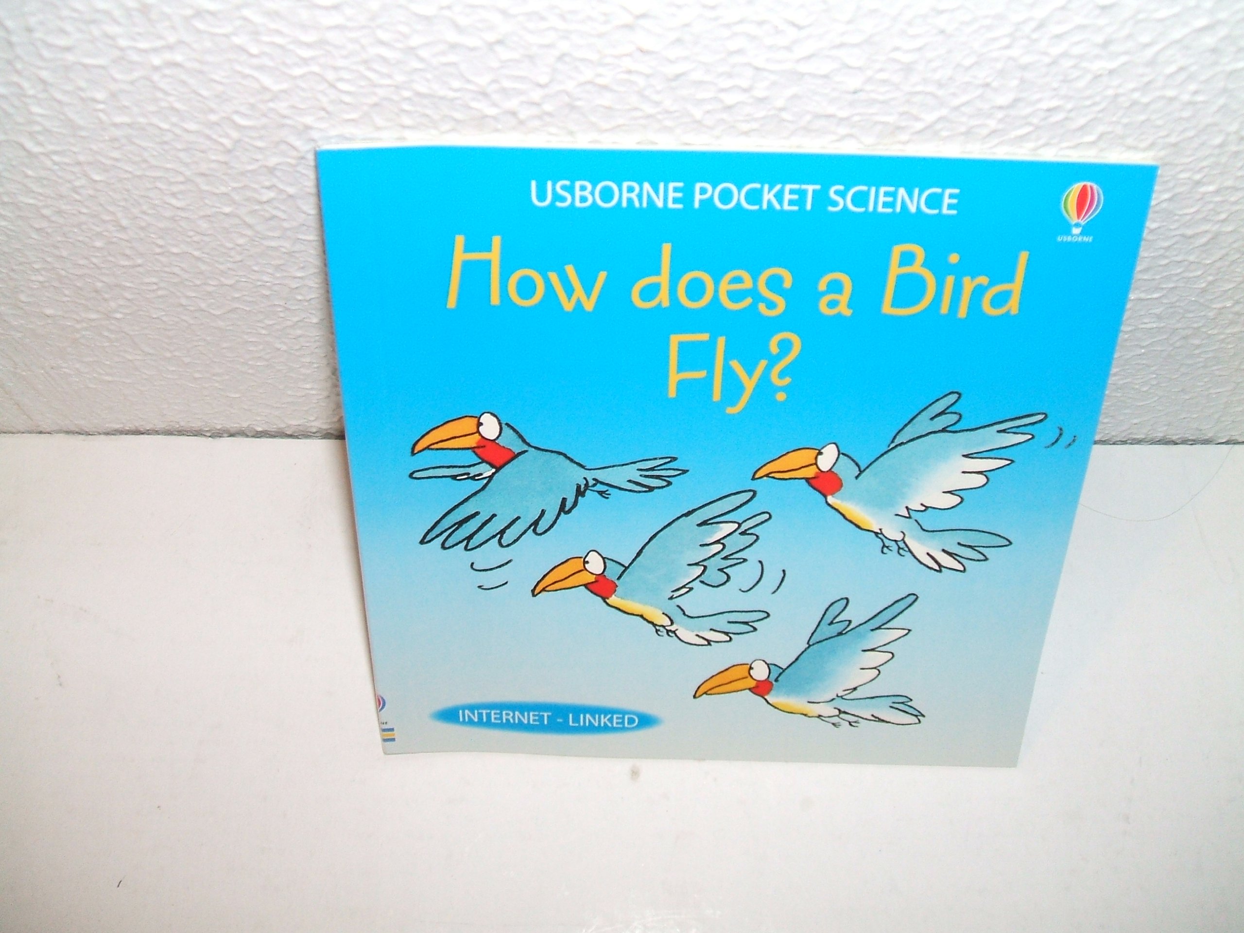 HOW DOES A BIRD FLY? USBORNE POCKET SCIENCE