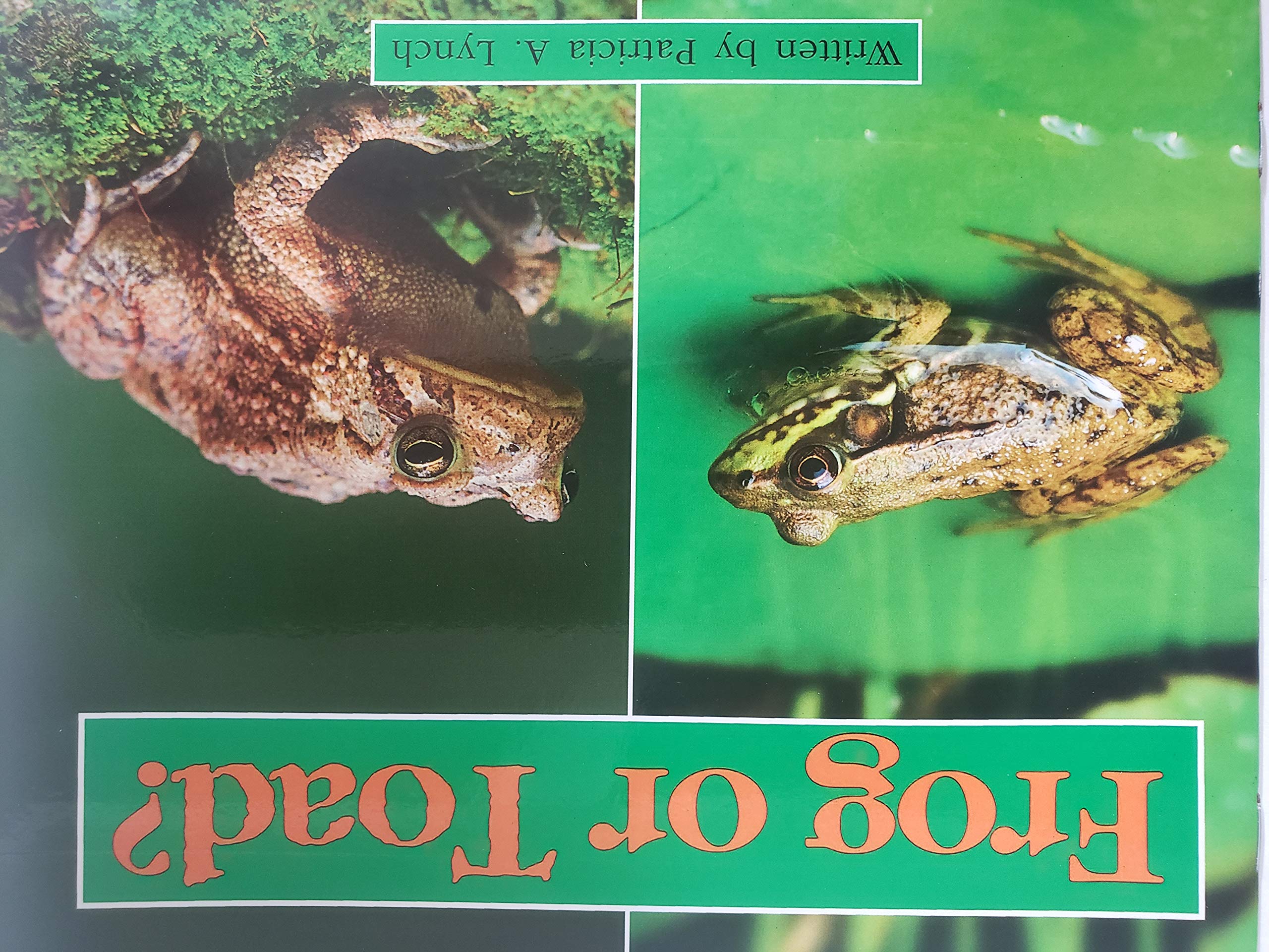 READY READERS, STAGE 4, BOOK 15, FROG AND TOAD, SINGLE COPY