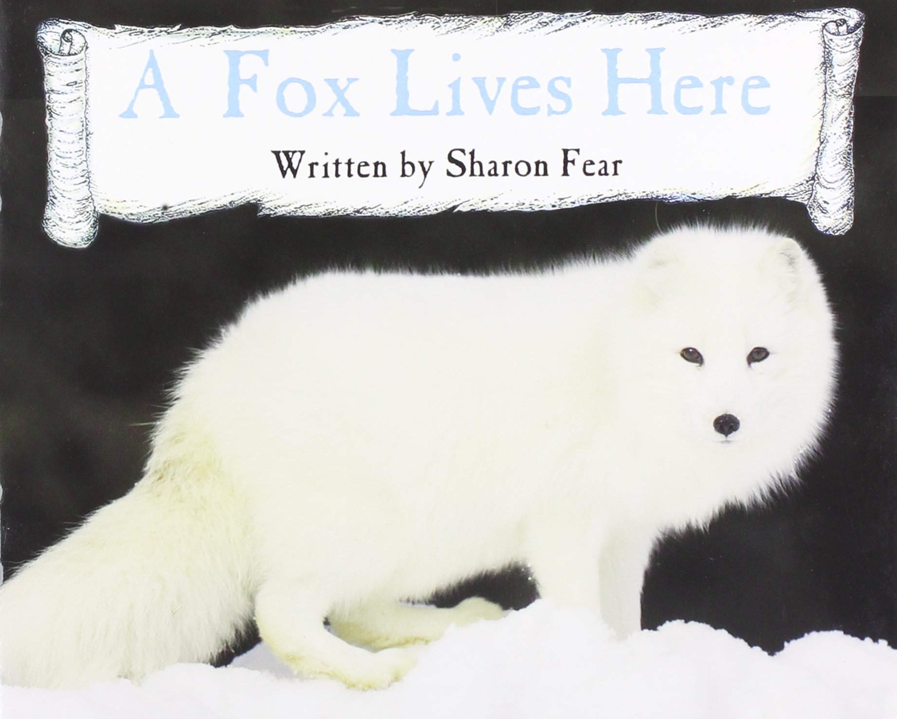 Ready Readers, Stage 4, Book 6, a Fox Lives Here, Single Copy