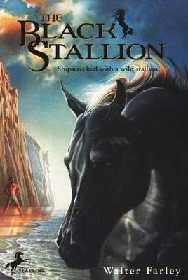 The Black Stallion Shipwreck with a Wild Stallion