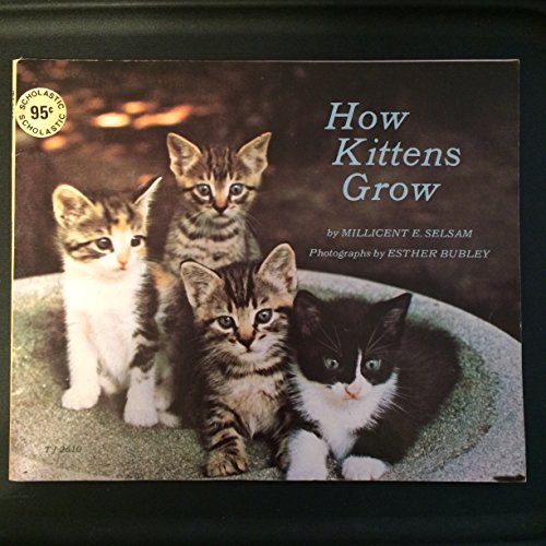 How Kittens Grow