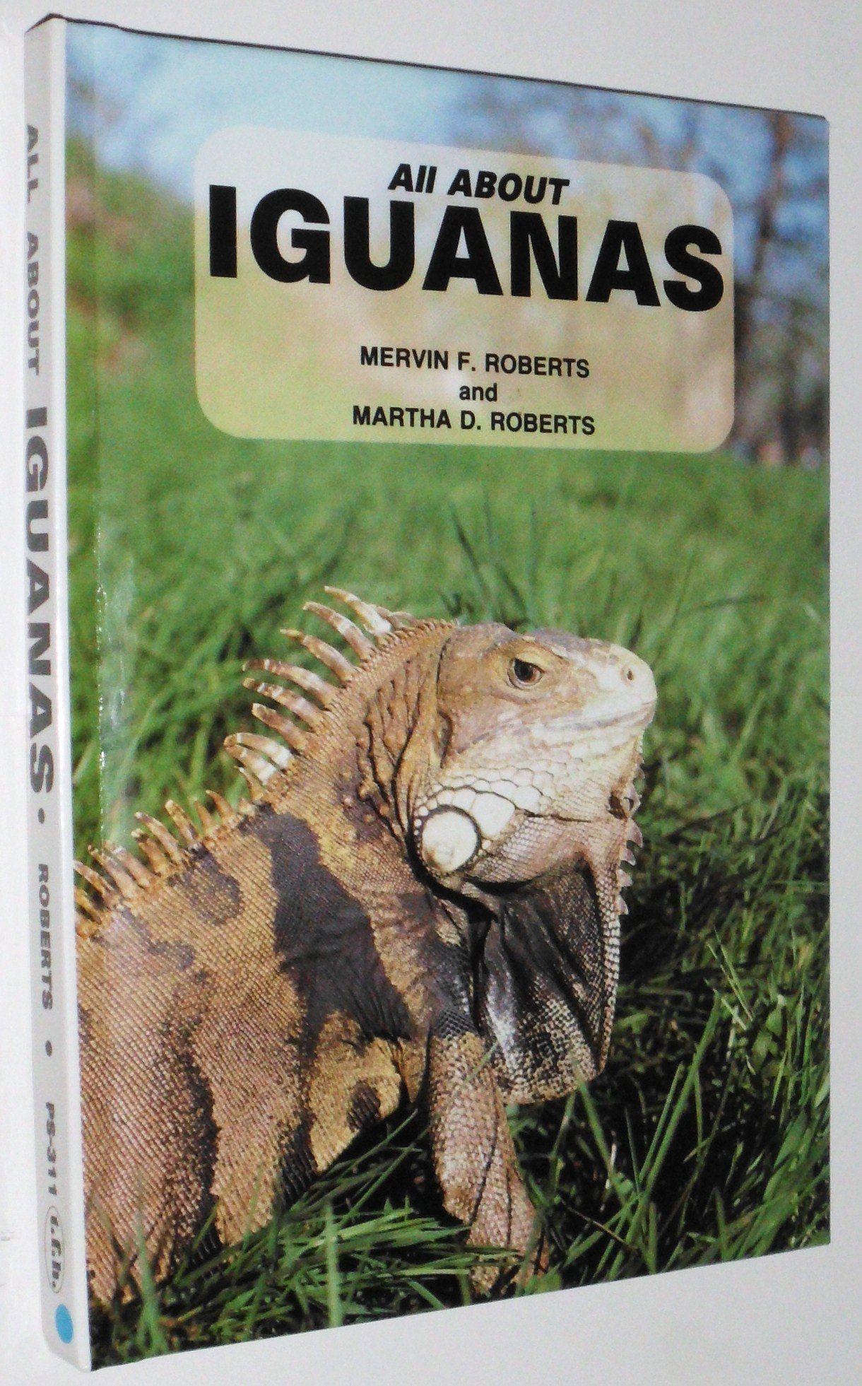 All About Iguanas