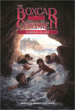 The Boxcar Children Surprise Island #2 Gertrue Chandler Warner