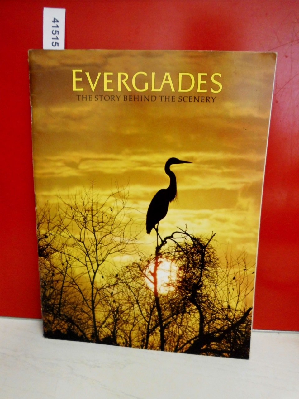 Everglades: The Story Behind the Scenery