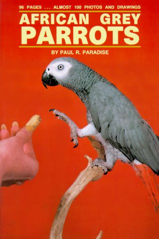African Grey Parrots