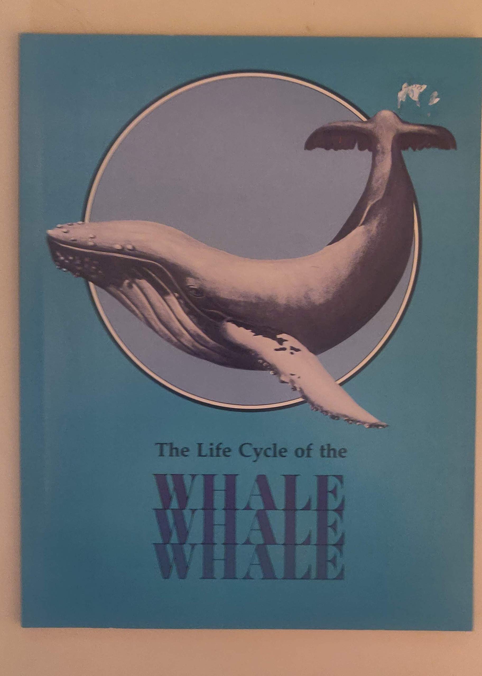 The Whale