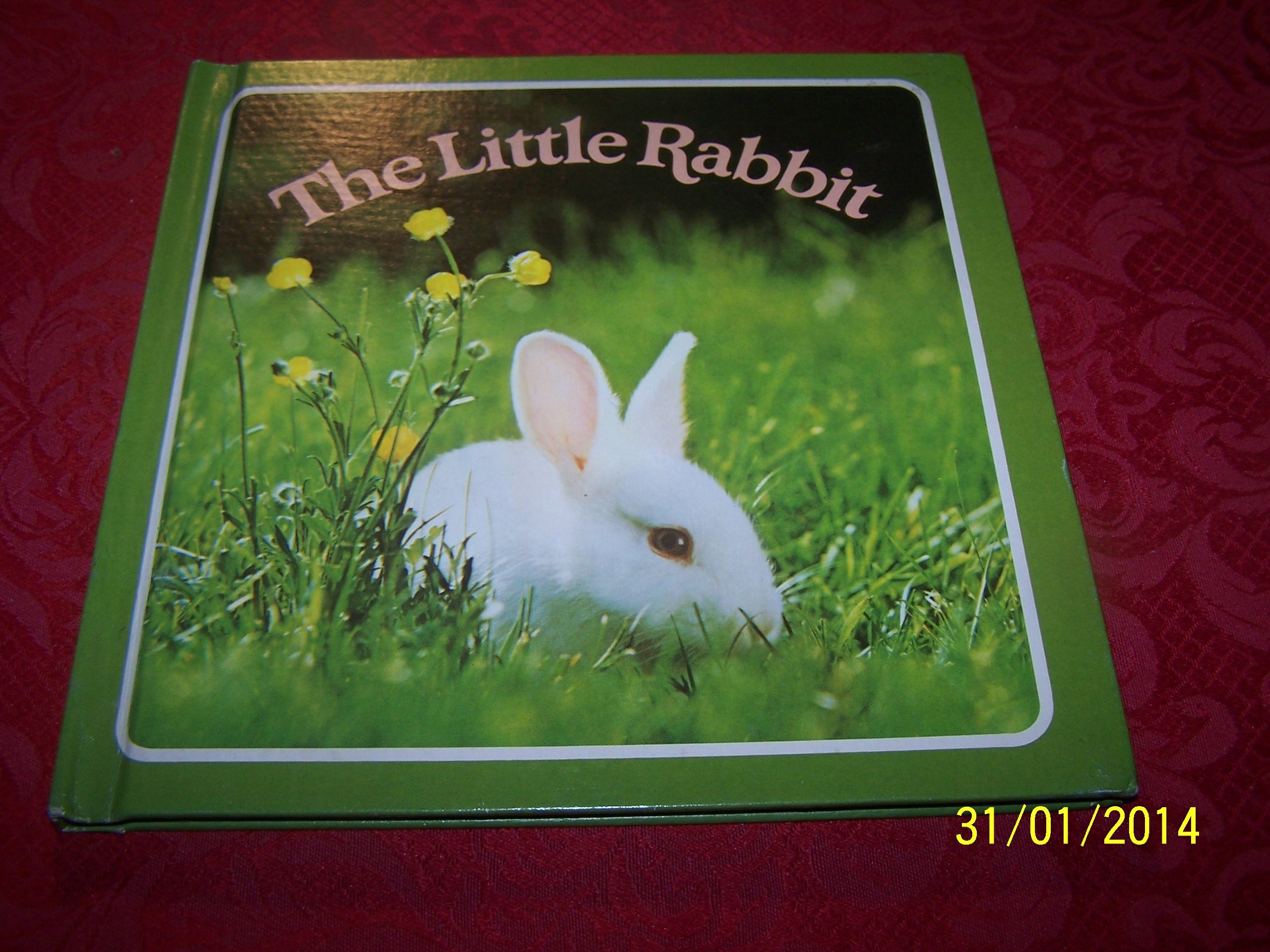 The Little Rabbit