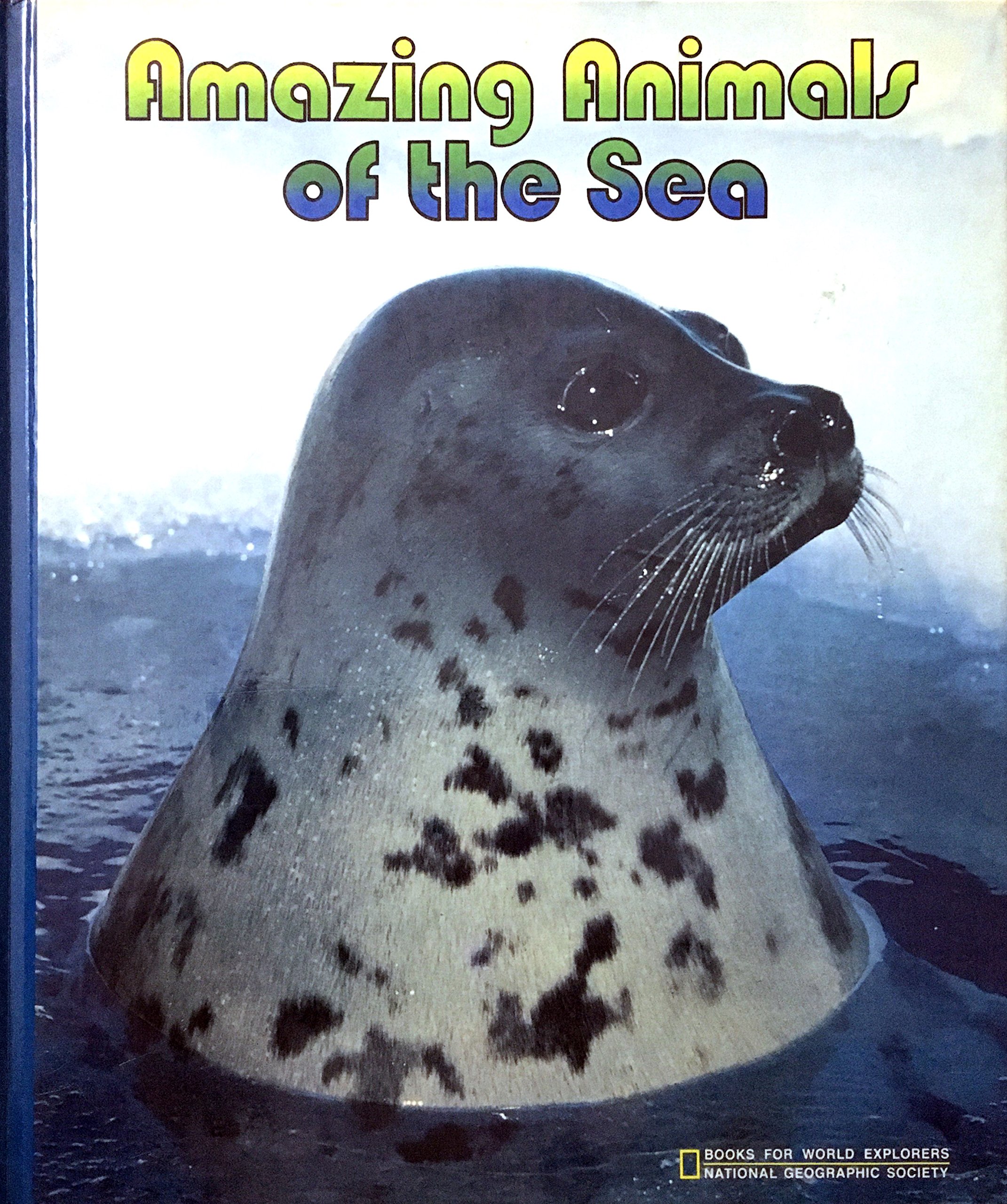 Amazing Animals of the Sea : Marine Mammals