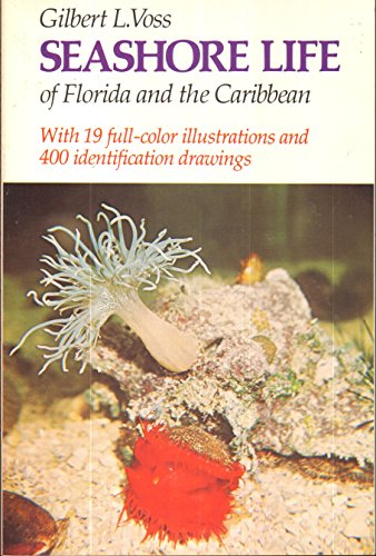 Seashore Life of Florida and the Caribbean