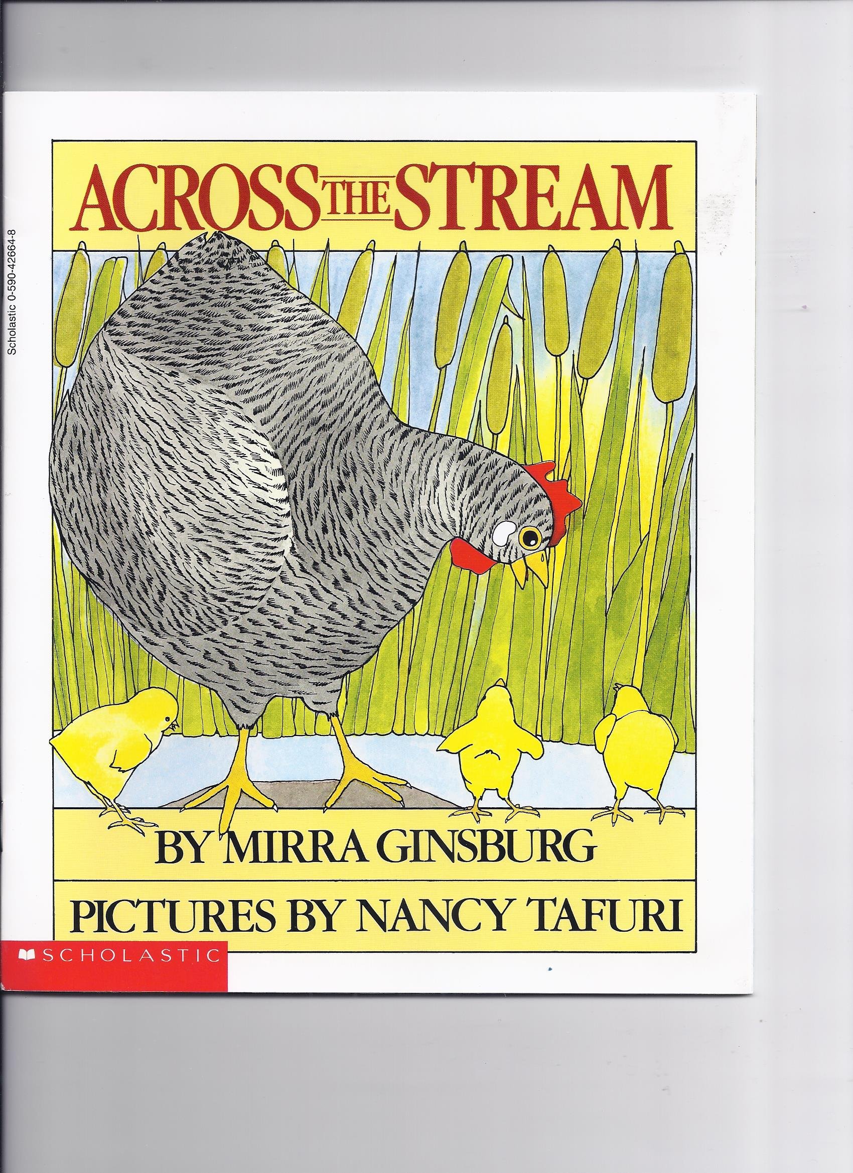 Accross The Stream