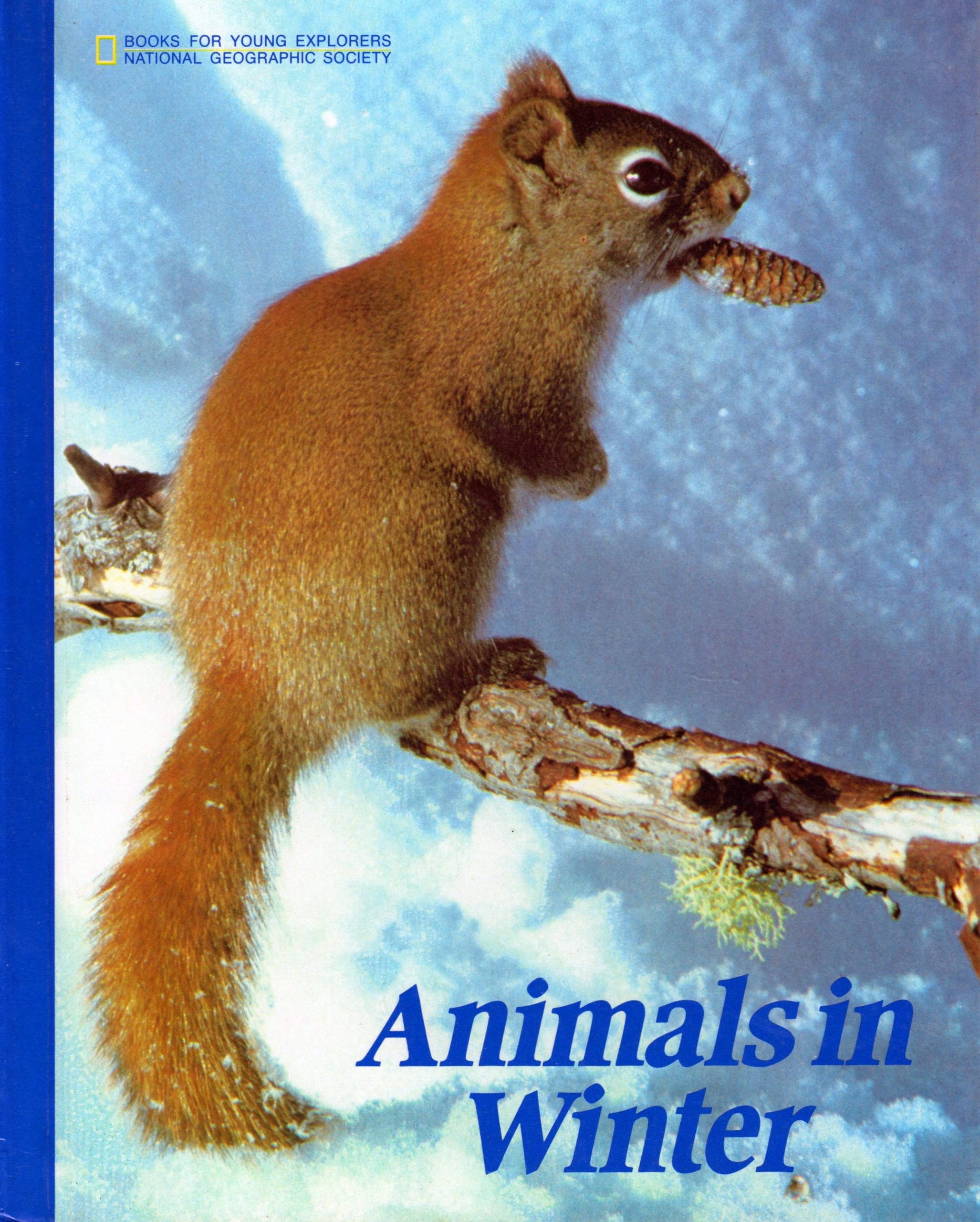 Animals in winter (Books for young explorers)