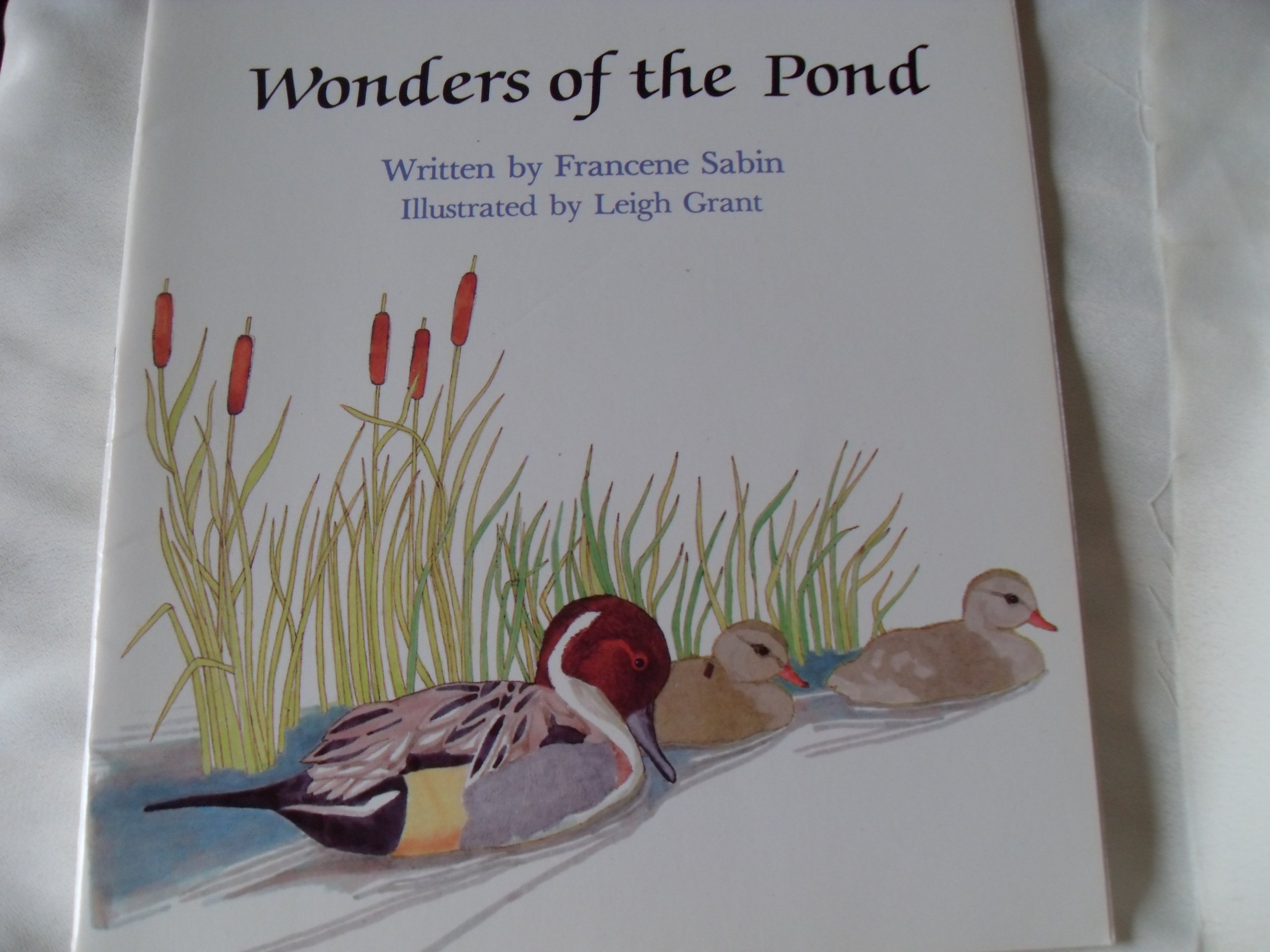 Wonders of the Pond