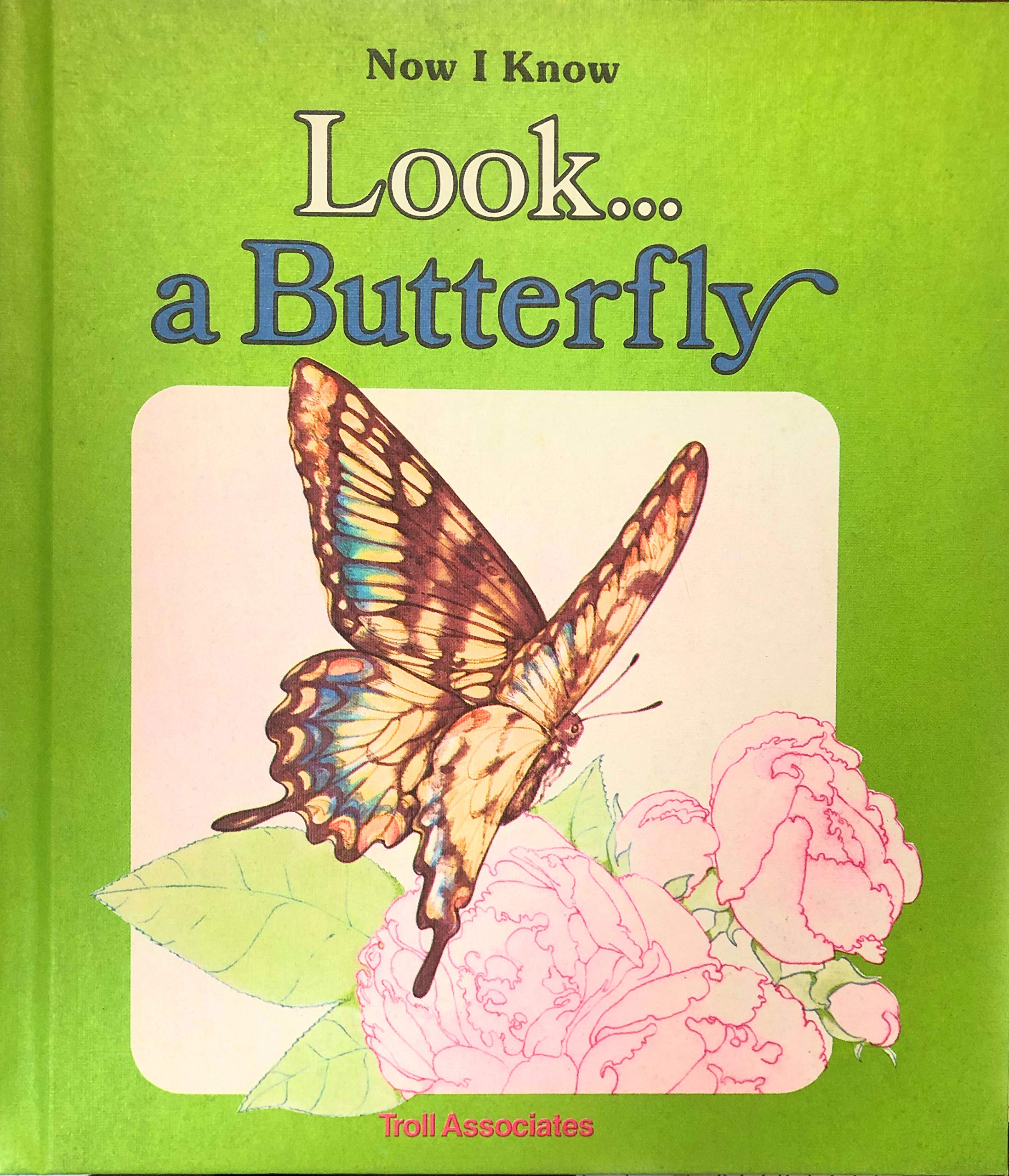 Look...a Butterfly (Now I Know Series)