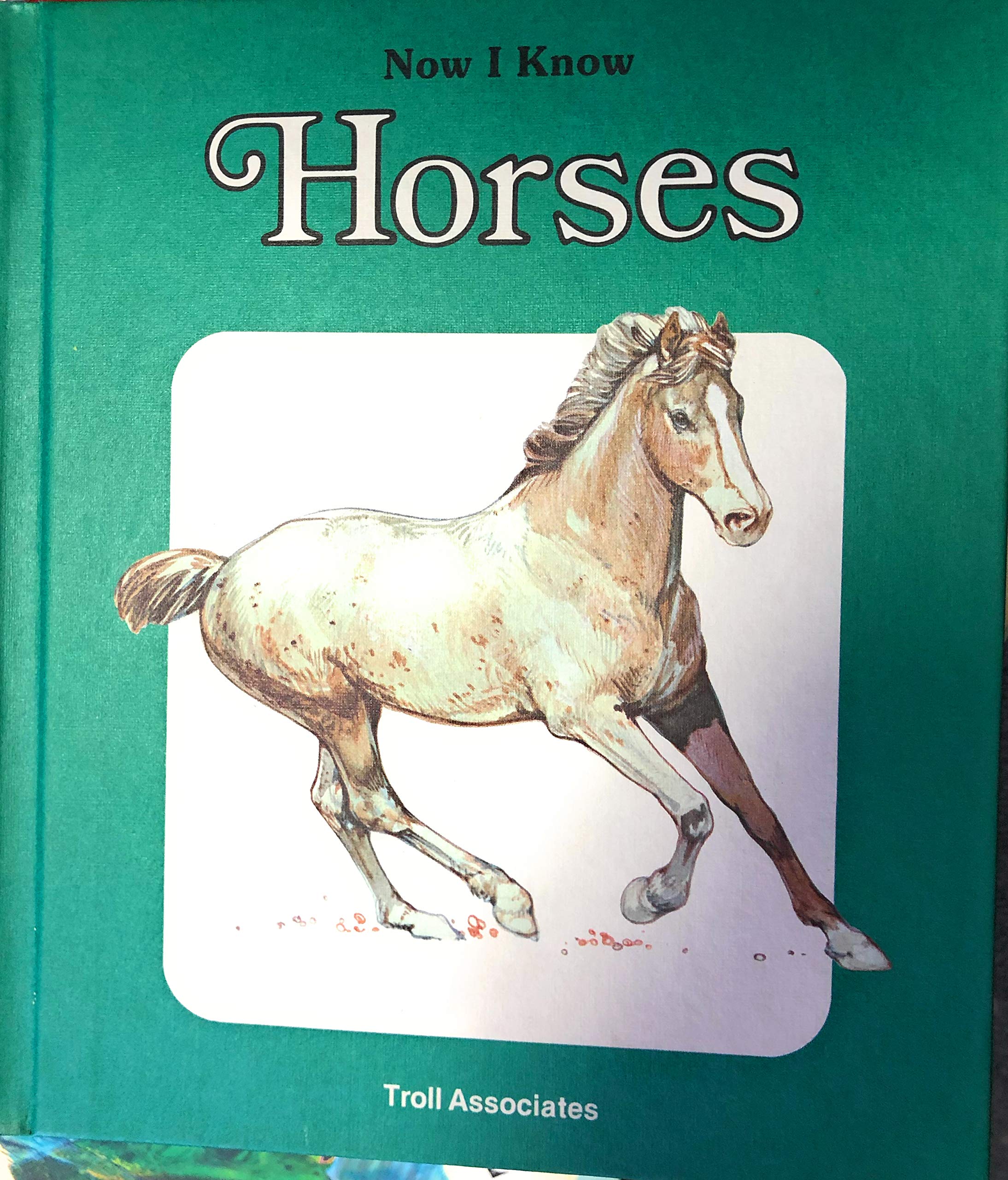 Horses (Now I Know)