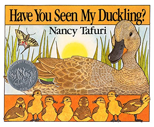 Have You Seen My Duckling?: A Caldecott Honor Award Winner