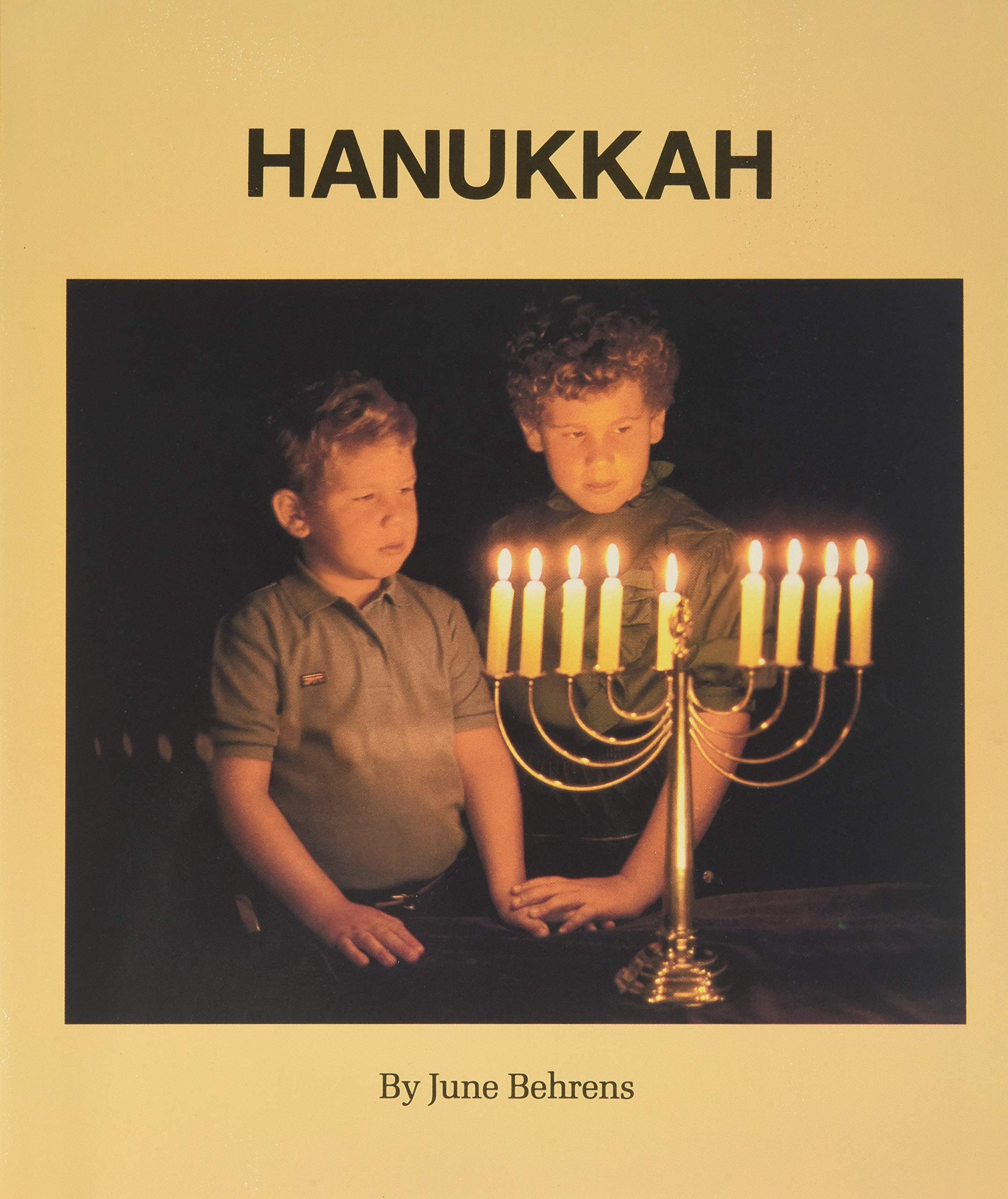 Hanukkah: Festivals and Holidays (Other Lands, Other People Series)